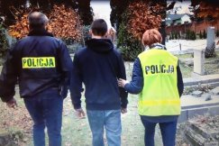 Hieny z cmentarza żydowskiego