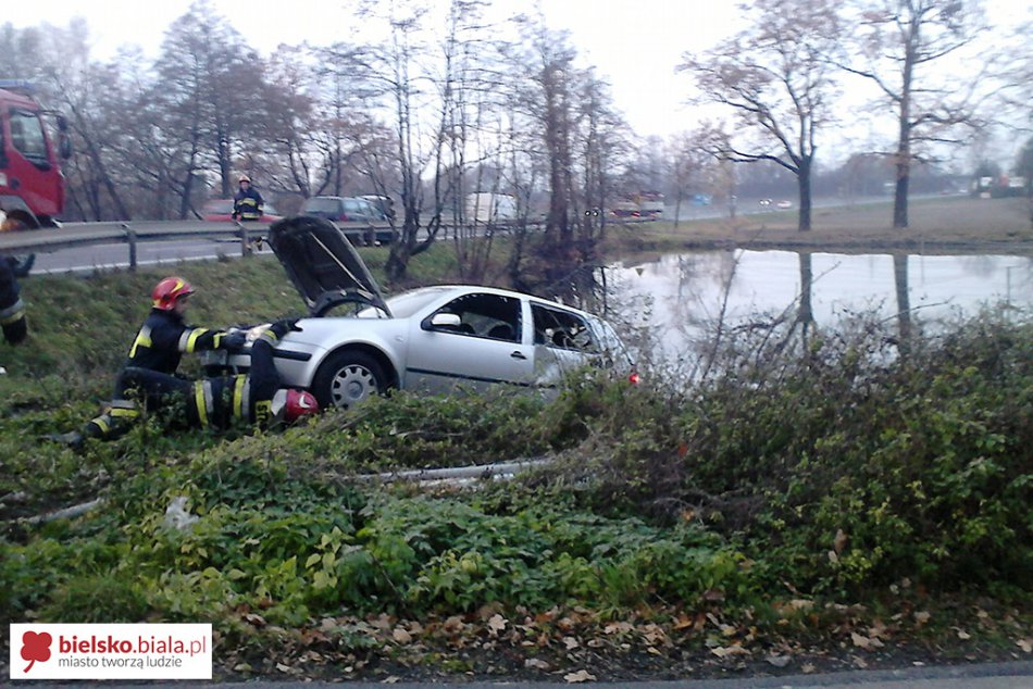 Zepchnięty w kierunku stawu - foto