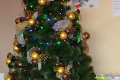 Bielska Therma z radiową Trójką