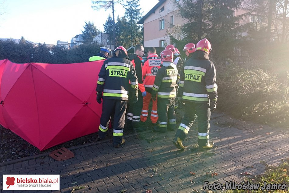 Więcej ofiar śmiertelnych na drogach