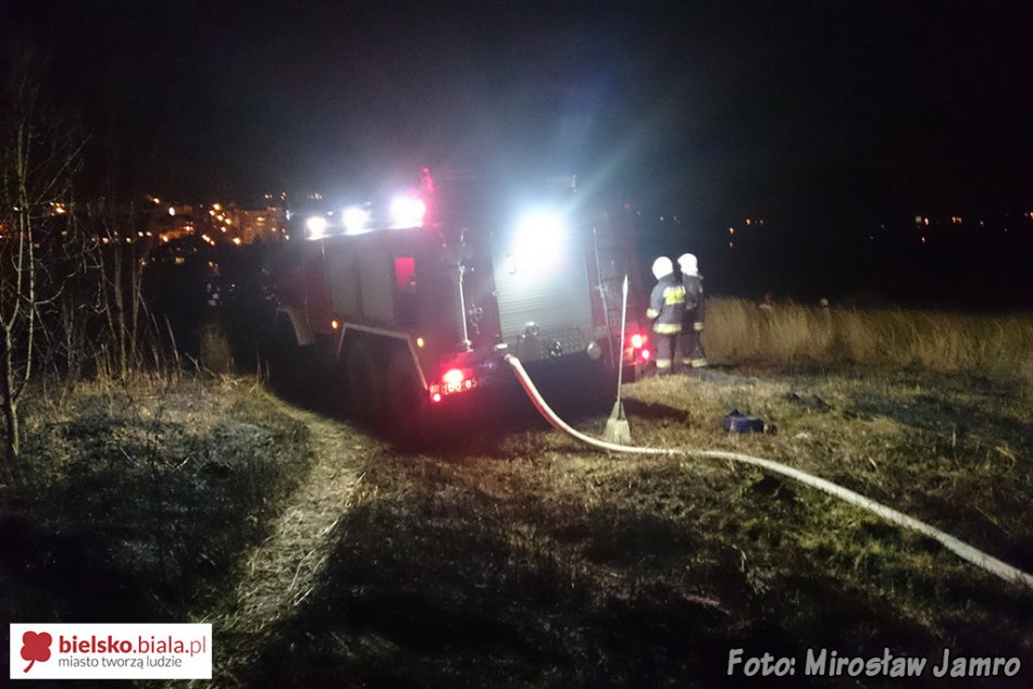 Usuwają skutki porywistego wiatru - foto