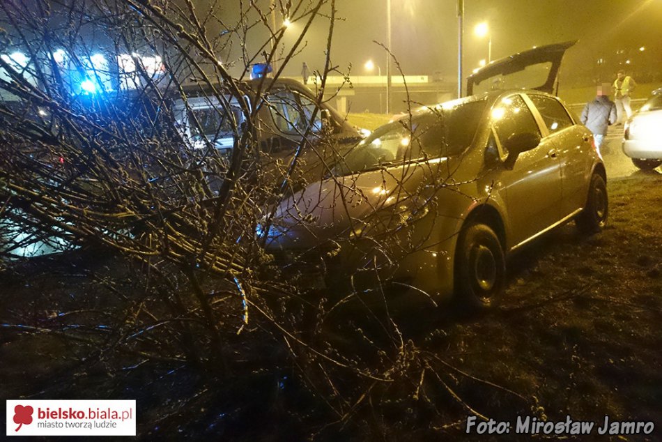 Wypadł na pobocze drogi - foto