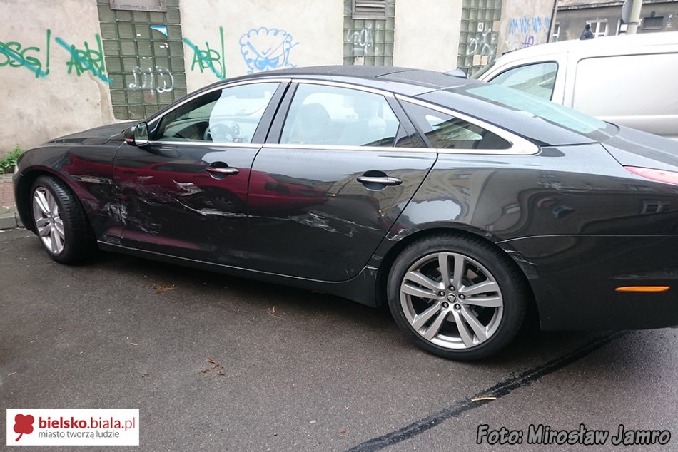 Nie zauważył jaguara - foto