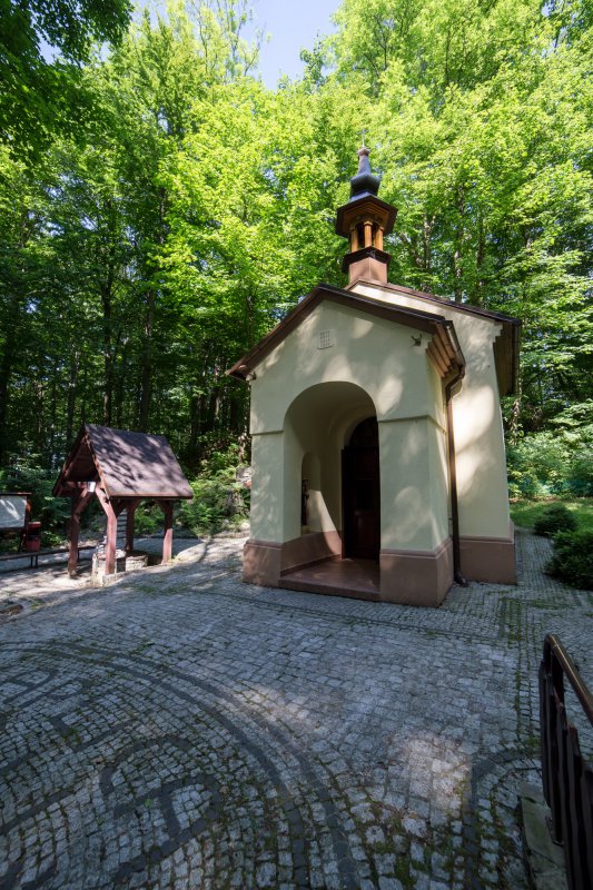 Zaproszenie na Noc Świętojańską - foto