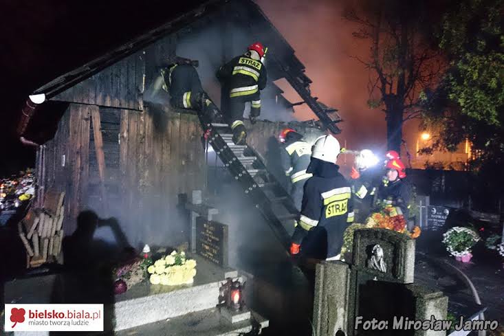 Piroman przed Temidą