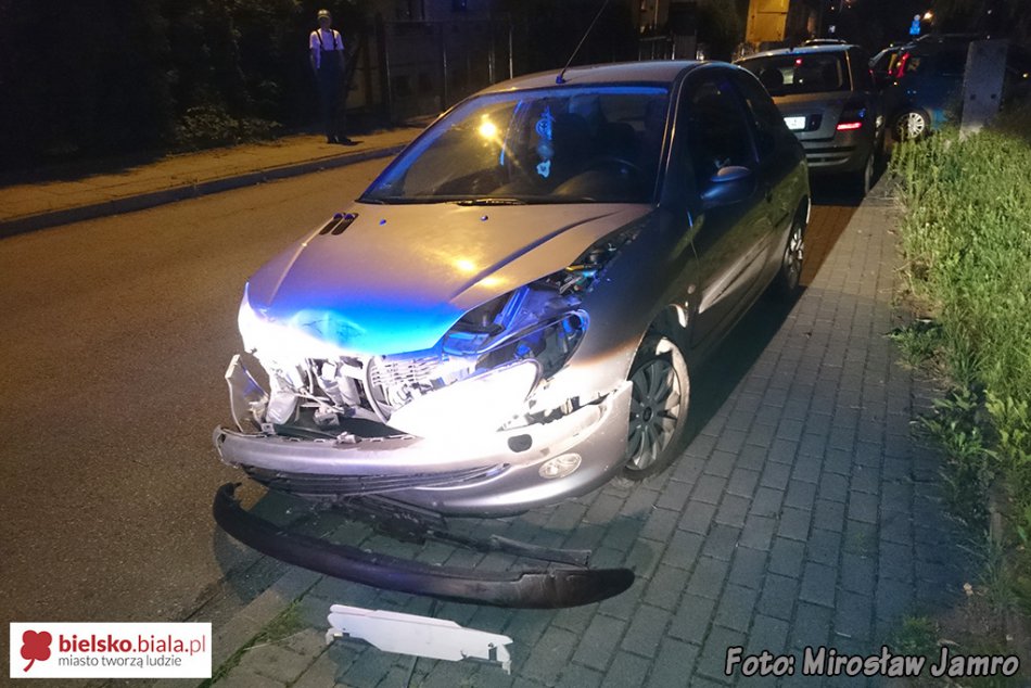Koniec jazdy na drzewie - foto