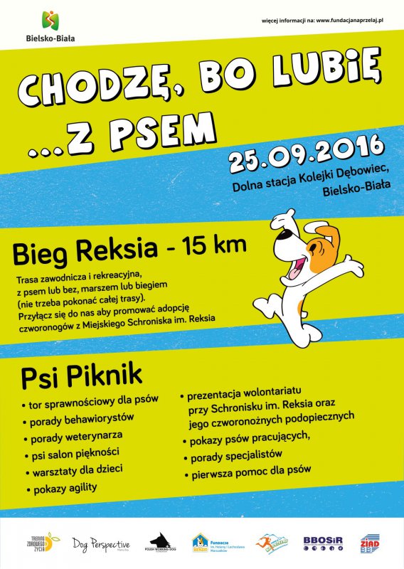 Strefa komfortu dla czworonogów