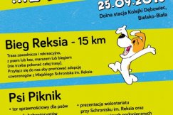 Strefa komfortu dla czworonogów