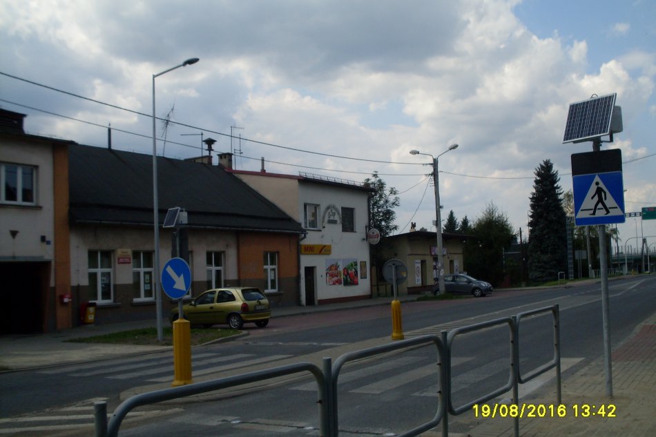 Kocie oczy na zebrze - foto
