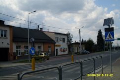 Kocie oczy na zebrze - foto