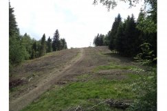Samowola narciarska w górach? - foto