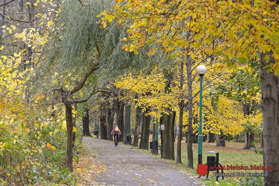 Cudna jesień