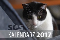 Sprawia przyjemność i pomaga - foto