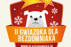 Świąteczne zakupy na cztery łapy