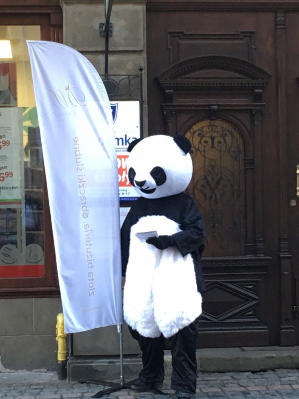 Panda uciekła z ZOO!