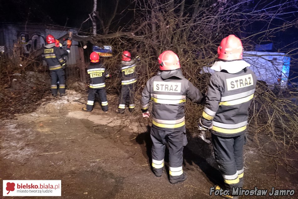 Drzewo zatarasowało ulicę - foto