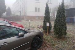 Parking z konkursu