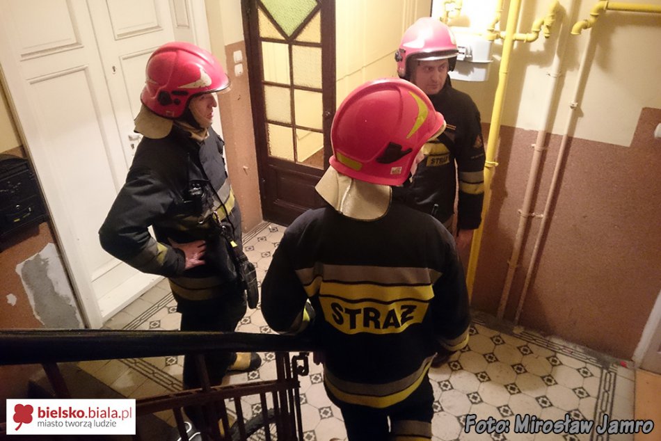 Fałszywy alarm na Modrzewskiego - foto