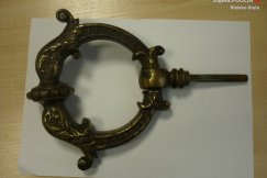 Hiena cmentarna zatrzymana
