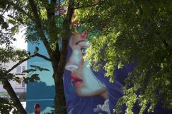 Przewodnik po bielskich muralach - foto