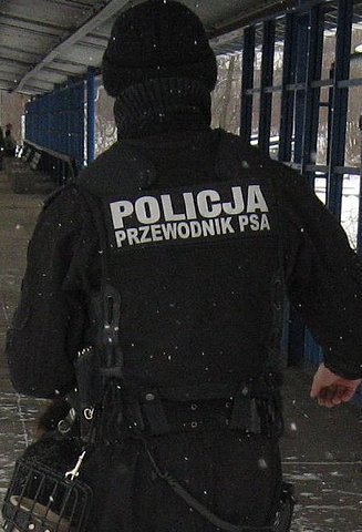 Pies wytropił pijanego kierowcę