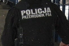 Pies wytropił pijanego kierowcę