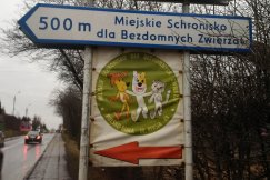 Schronisko żąda ścigania oszczerców