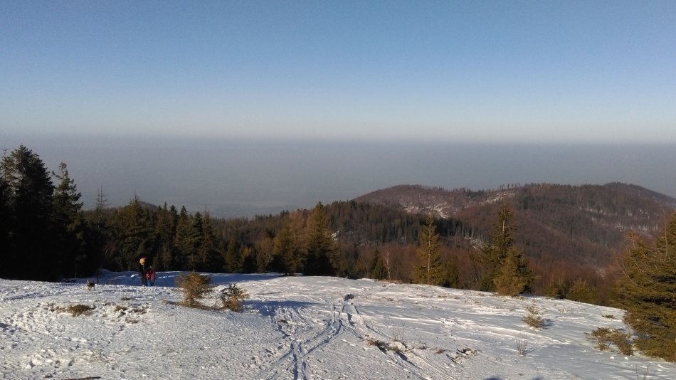 Sześciokrotne przekroczenia norm