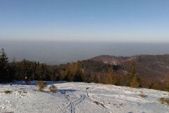 Sześciokrotne przekroczenia norm