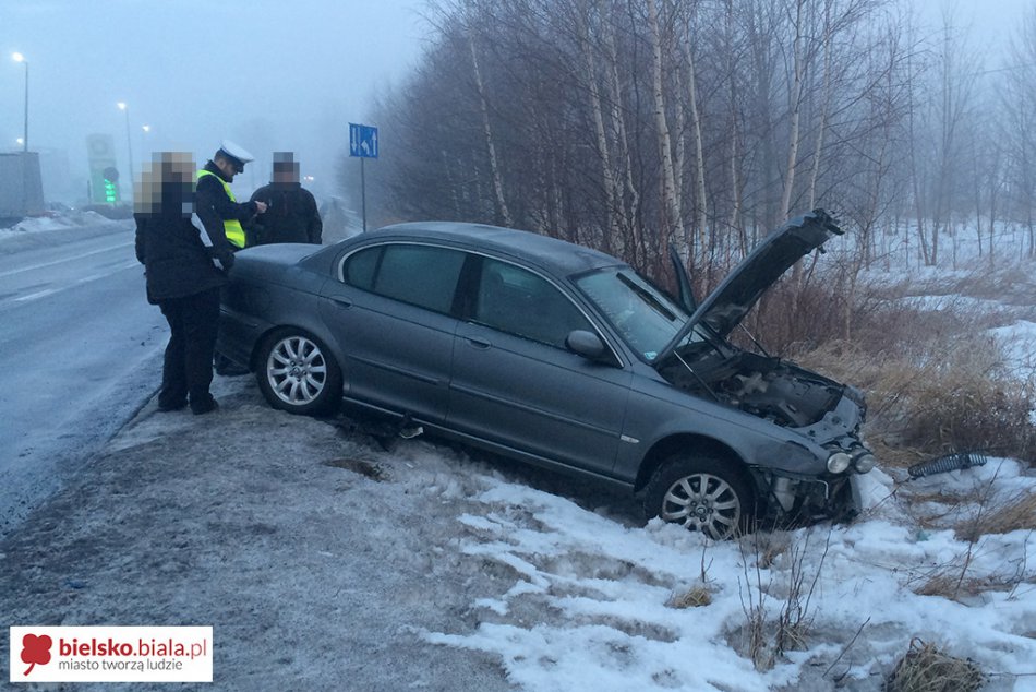 Spotkanie jaguara z audi - foto