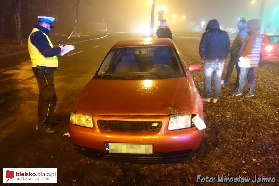 Pijany uderzył autem w drzewo - foto
