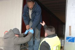 Pakistańczyk w naczepie tira - foto