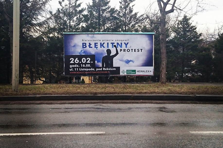 Manifestacja z prezydentem Krywultem?