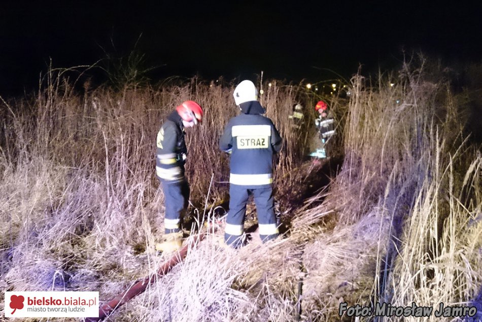 Spłonęło kilkaset metrów trawy - foto
