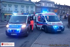 Wszedł na czubek drzewa - foto