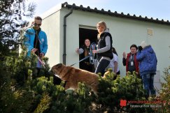 Kierownik nie załagodził sporu