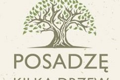 Spontaniczna odpowiedź na wycinkę
