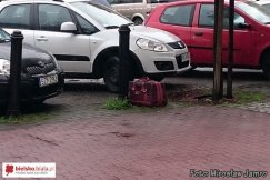 Tajemnicza walizka na placu Wolności - foto