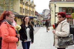 Żonkile przypomną o bohaterach
