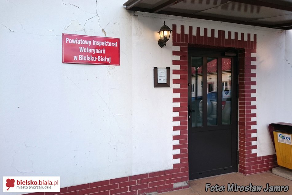 Koniec kociej pracy na balkonie?