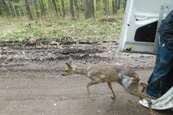 Odzyskała zdrowie i wolność - foto