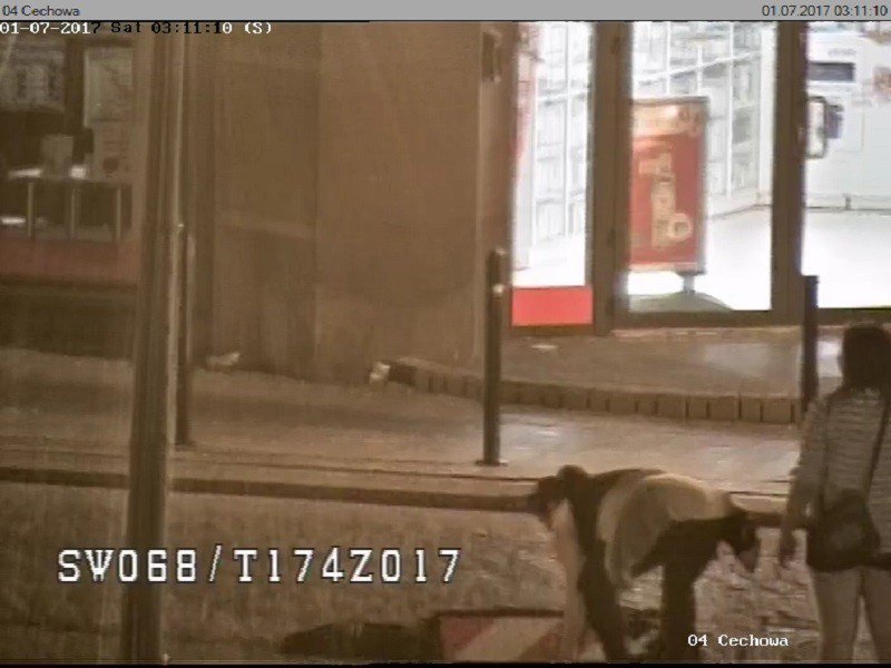 Wyrzuciła znak do rzeki - foto