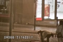 Wyrzuciła znak do rzeki - foto