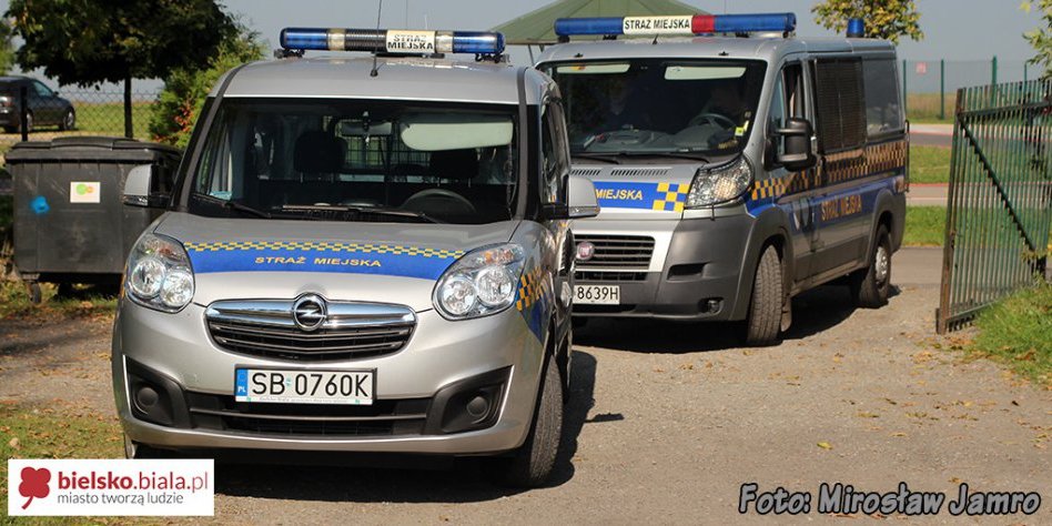 Ujawnili nielegalne automaty do gier