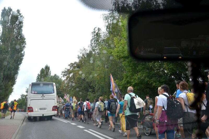 Wstali z kanapy. Są ich tysiące - foto