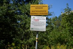 Piękny zakątek z dzikim wysypiskiem - foto