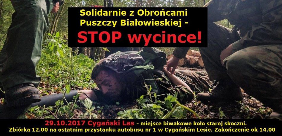 Akcja bielskich obrońców Puszczy Białowieskiej