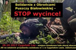 Akcja bielskich obrońców Puszczy Białowieskiej