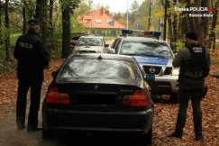 Akcja przeciw złodziejom w lesie - foto