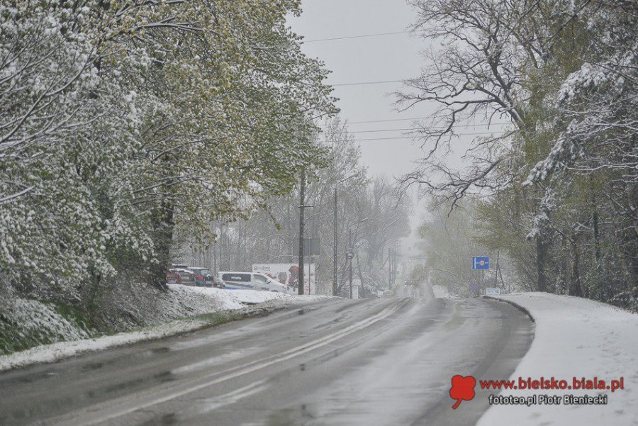 Synoptycy są pewni. Idzie zima ze śniegiem